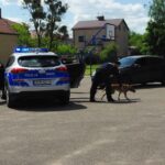 Akcja policyjna, zatrzymanie z psem - 3