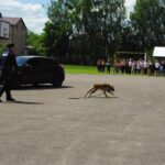 Akcja policyjna, zatrzymanie z psem - 4